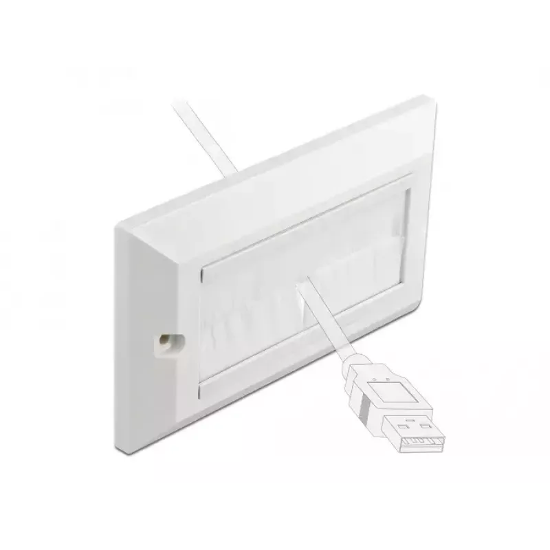 Placa de pared DeLOCK 66496 blanco
