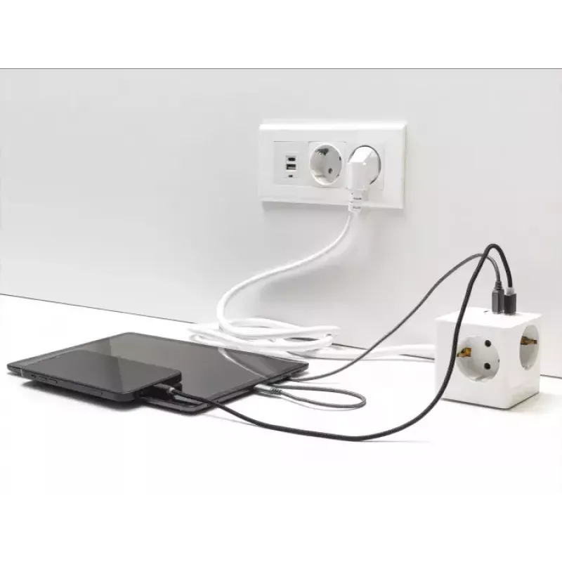 DeLOCK 11497 Cubo de enchufes de 3 tomas con cable alargador de 1,5 m, cargador USB, protección infantil, blanco