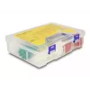 DeLOCK Caja surtida de bridas con herramienta tensora, 350 uds., multicolor