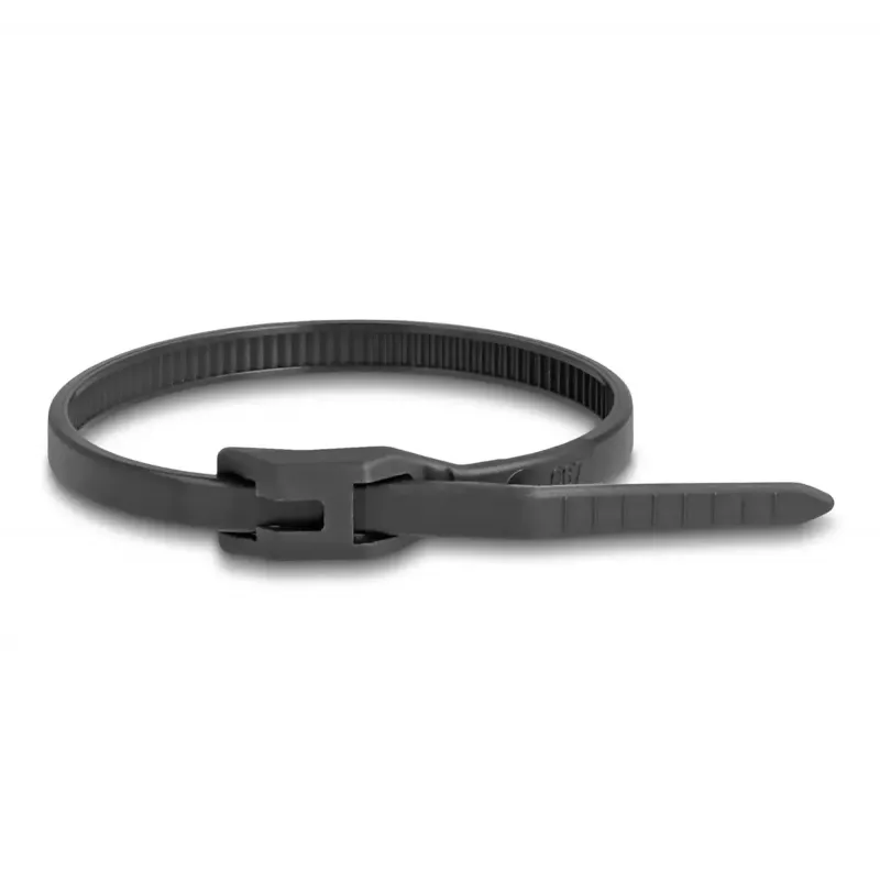 Bridas DeLOCK 19466 poliamida negro 205 mm 100 uds.