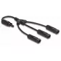 Divisor de cable DeLOCK DL4 cable divisor solar 1 x hembra a 3 x macho 35 cm negro