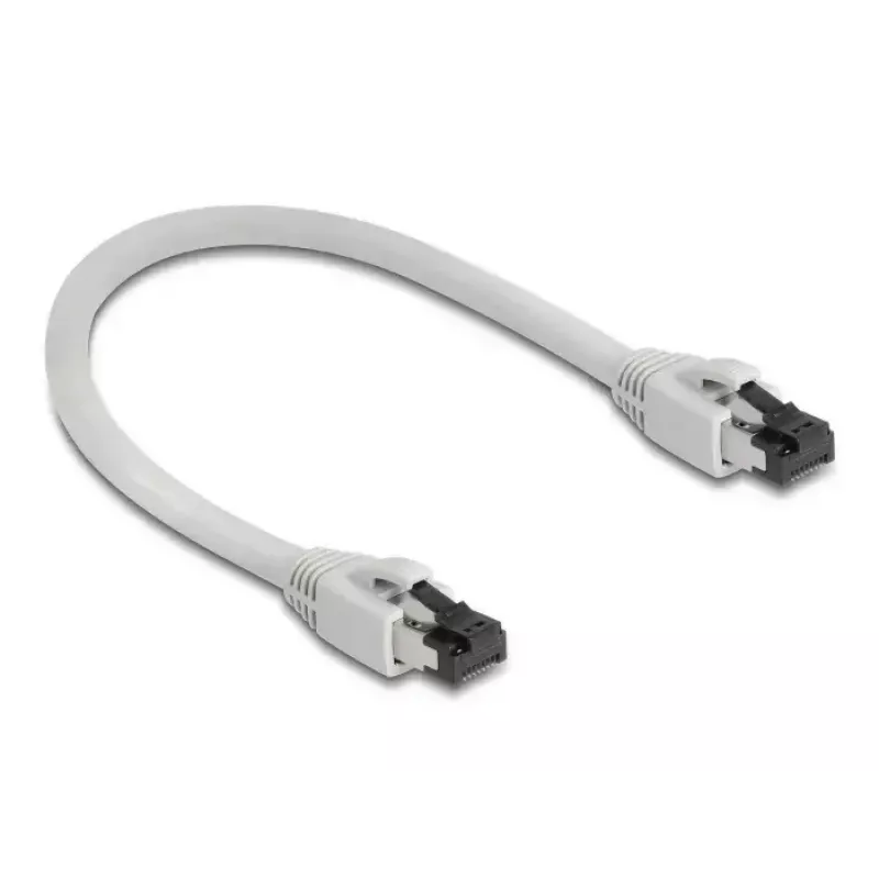 Cable de red DeLOCK 80556 RJ-45 Cat8.1 0,25 m gris