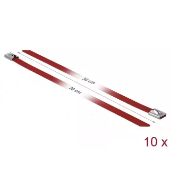 Bridas DeLOCK 18782 acero inoxidable rojo 300 mm 10 uds.