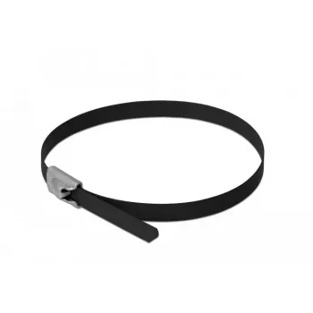 Bridas DeLOCK 18810 acero inoxidable negro 10 uds.