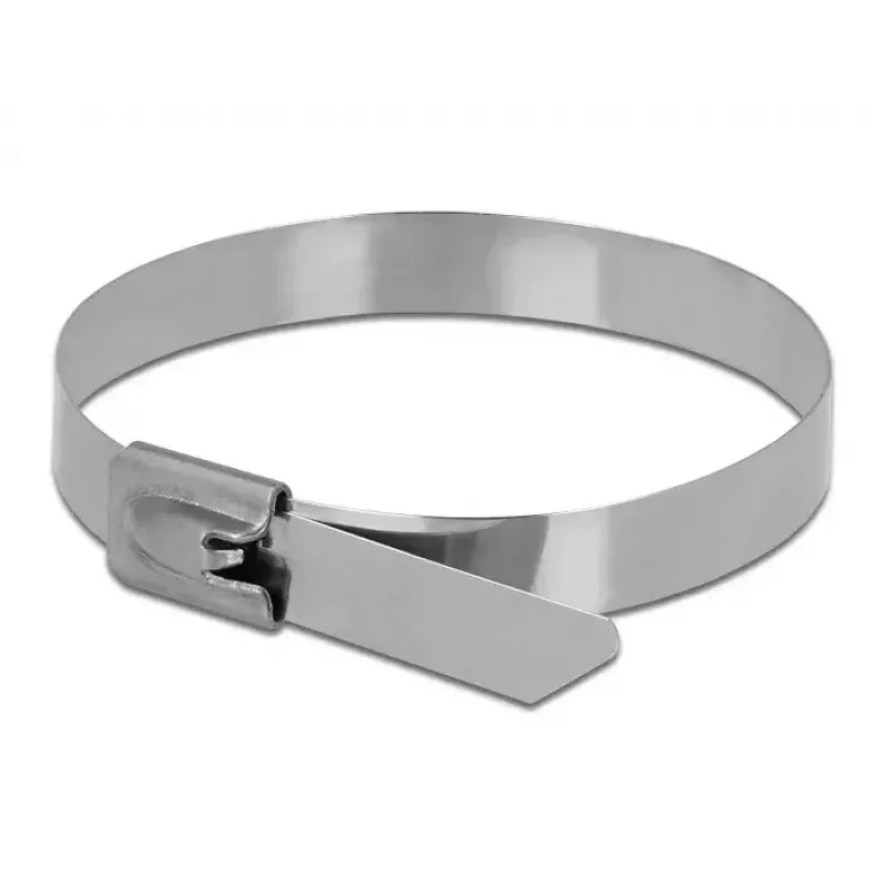 Bridas DeLOCK 18772 acero inoxidable metalizado 10 uds.