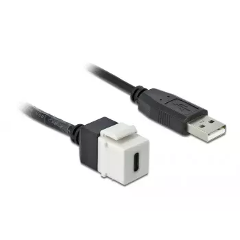 Módulo Keystone DeLOCK 86382 plano negro blanco USB C