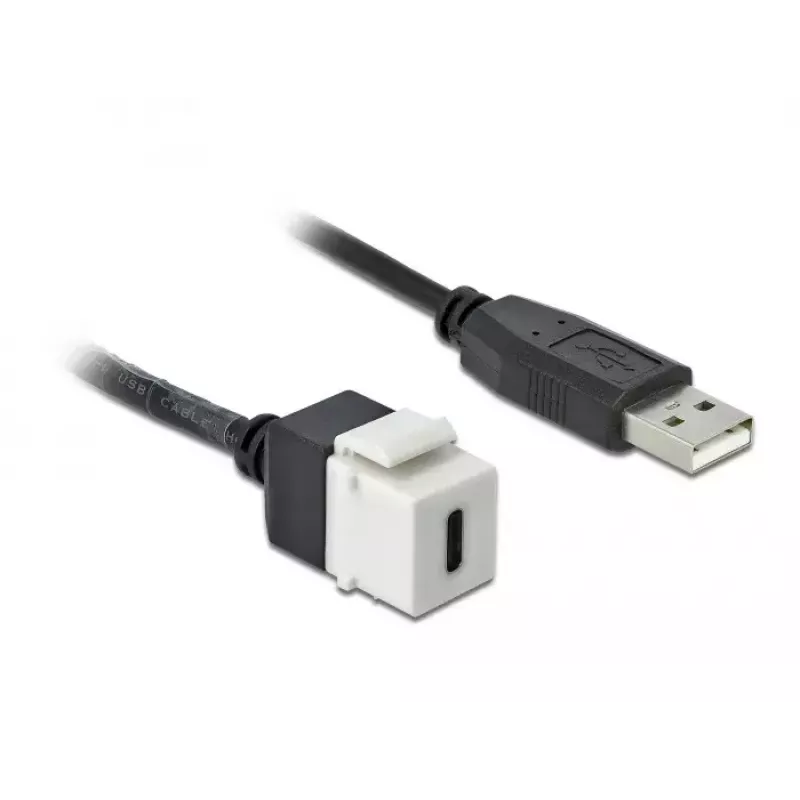 Módulo Keystone DeLOCK 86382 plano negro blanco USB C