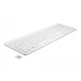 Teclado DeLOCK 12014 RF Wireless QWERTZ alemán blanco