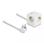 DeLOCK 11502 alargador de corriente 1,5 m 3 tomas AC interior blanco