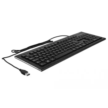 Teclado DeLOCK 12672 Office USB QWERTZ alemán negro