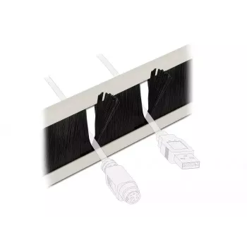 Panel de gestión de cables DeLOCK 10