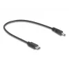 Cable de alimentación DeLOCK 85403 negro 0,27 m USB-C DC