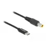 Delock Cable de carga para portátil, USB Type-C macho a IBM 7,9 x 5,5 mm macho (87979)