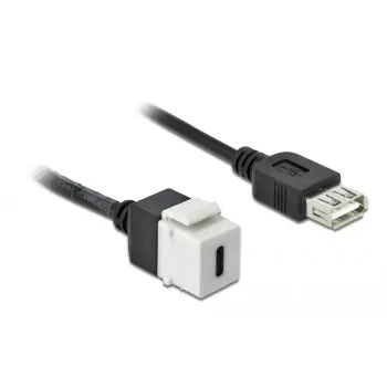 Módulo Keystone DeLOCK 86391 USB C plano negro blanco