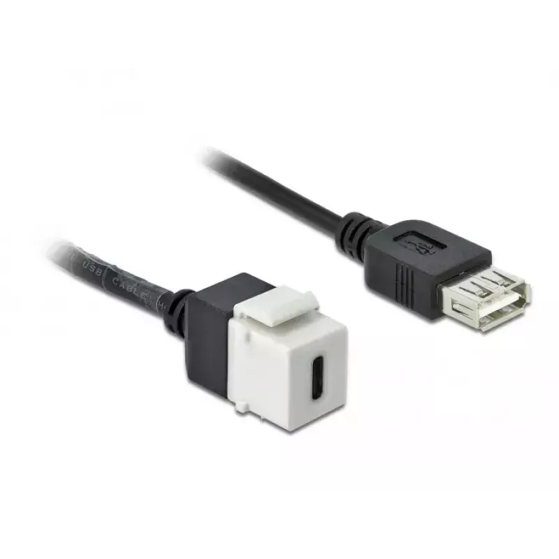 Módulo Keystone DeLOCK 86391 USB C plano negro blanco