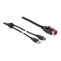Cable PoweredUSB DeLOCK 85941 24V USB Type-A Mini-DIN 2m