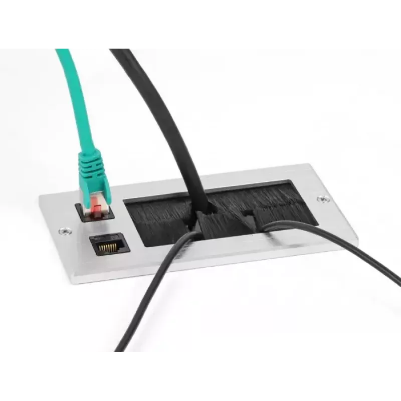 Pasacables DeLOCK con cepillo y 2 módulos Keystone RJ45 Cat.6 aluminio