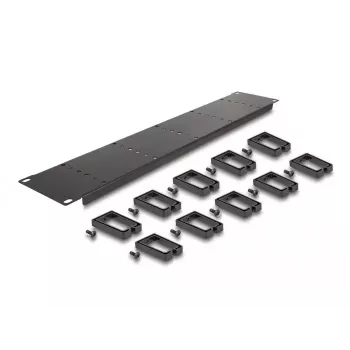 Panel de gestión de cables DeLOCK 19 pulgadas 66917 2U negro con 10 ganchos