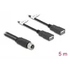 Cable de sensor/actuador DeLOCK 5 m M12 2 x USB Type-A negro 60652