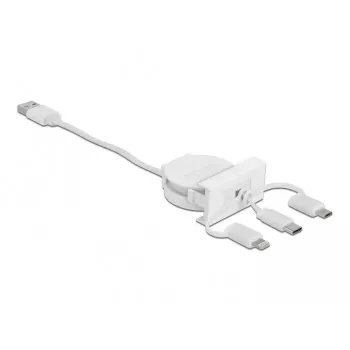 DeLOCK Easy 45 módulo USB 2.0 cable retráctil 3 en 1 0,5 m