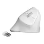 Ratón DeLOCK 12596 Office diestro RF Wireless 1600 DPI