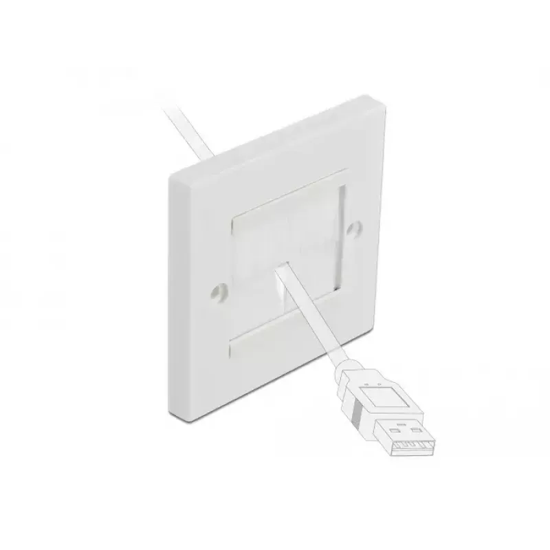 Placa de pared DeLOCK 66495 blanco