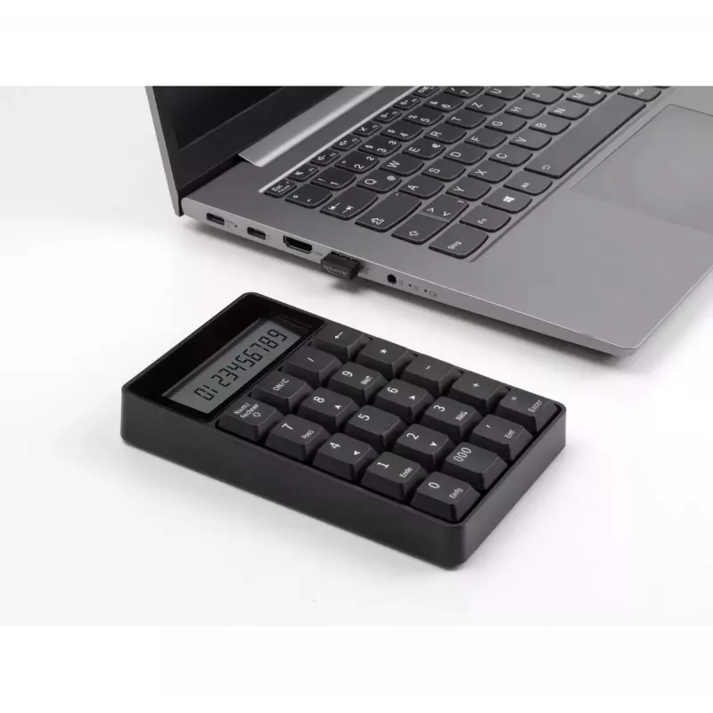 Teclado numérico DeLOCK 12113 USB negro 20 teclas universal