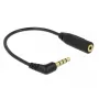 Cable de audio DeLOCK 0,175 m 3,5 mm/2,5 mm negro