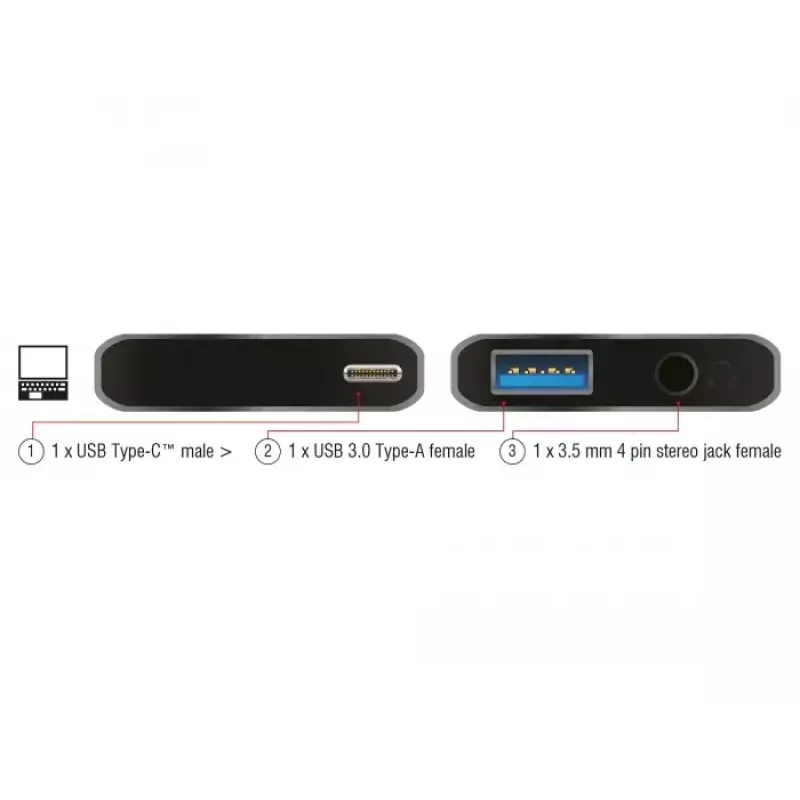 Dock para portátil DeLOCK 63965 antracita