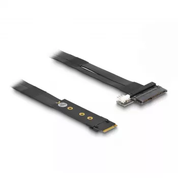 Adaptador DeLOCK M.2 Key M a U.2 SFF-8639 NVMe con cable de 20 cm