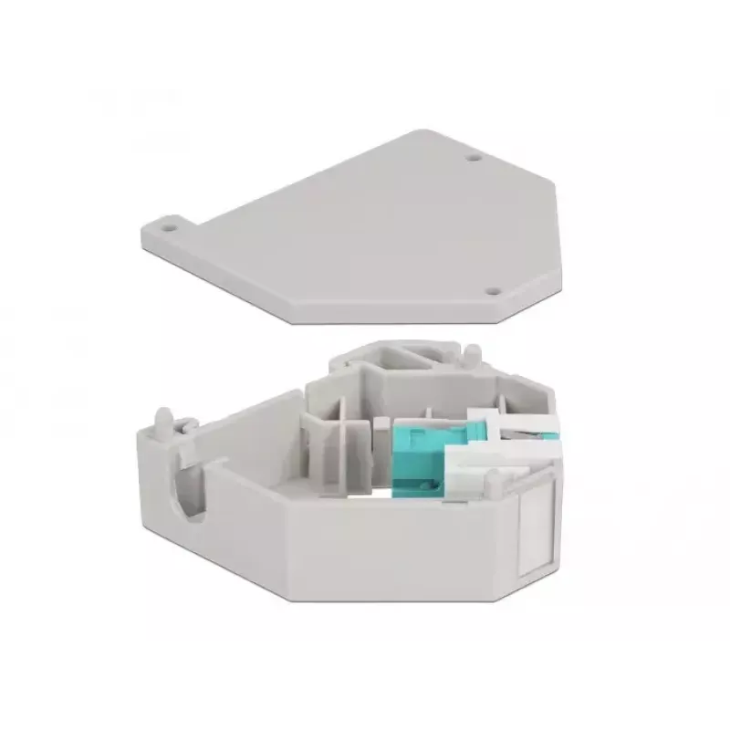 Delock 87173 Adaptador Keystone de SC Simplex a SC Simplex para carril DIN, aqua