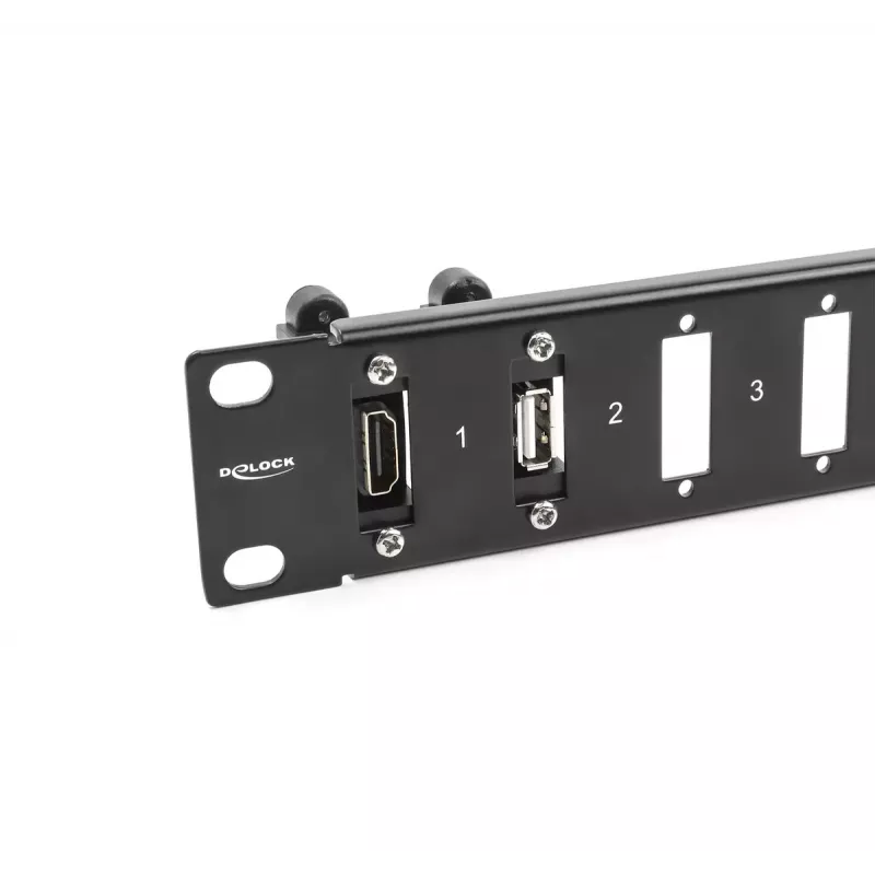 Panel DeLOCK de 19