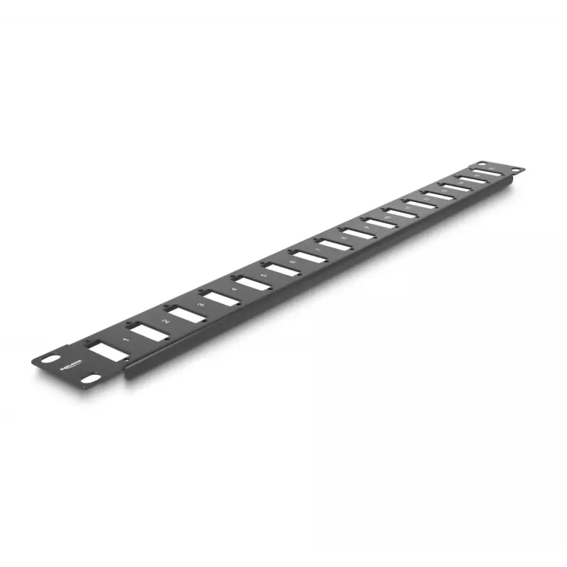 Panel DeLOCK de 19