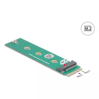 DeLOCK Adaptador interno M.2 64343 host M.2 macho verde
