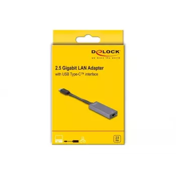 DeLOCK 66248 Adaptador de cable RJ-45 USB C gris 0,09m