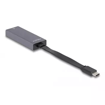 DeLOCK 66248 Adaptador de cable RJ-45 USB C gris 0,09m