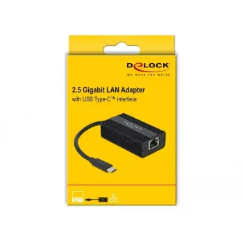 DeLOCK 65990 adaptador de USB Type-C a LAN de 2,5 Gigabit, negro
