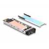 DeLOCK Mobile Rack PCI Express Card para 1 x M.2 NVMe SSD Low Profile