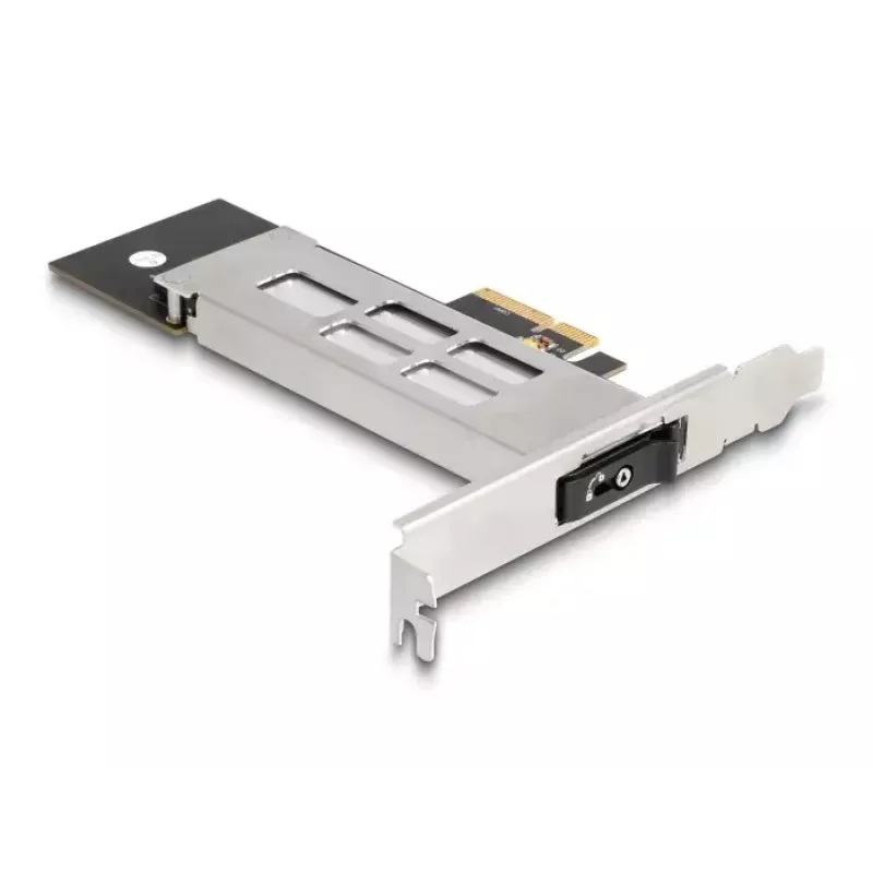 DeLOCK Mobile Rack PCI Express Card para 1 x M.2 NVMe SSD Low Profile