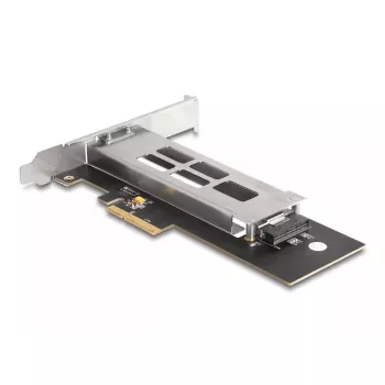 DeLOCK Mobile Rack PCI Express Card para 1 x M.2 NVMe SSD Low Profile