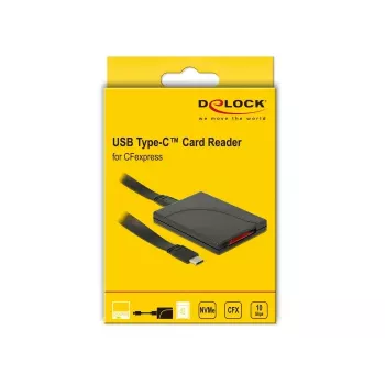 Lector de tarjetas DeLOCK 91749 USB 3.1 Gen 2 Type-C negro