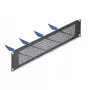 DeLOCK 67036 panel ciego de 19" con orificios redondos, 2U, negro