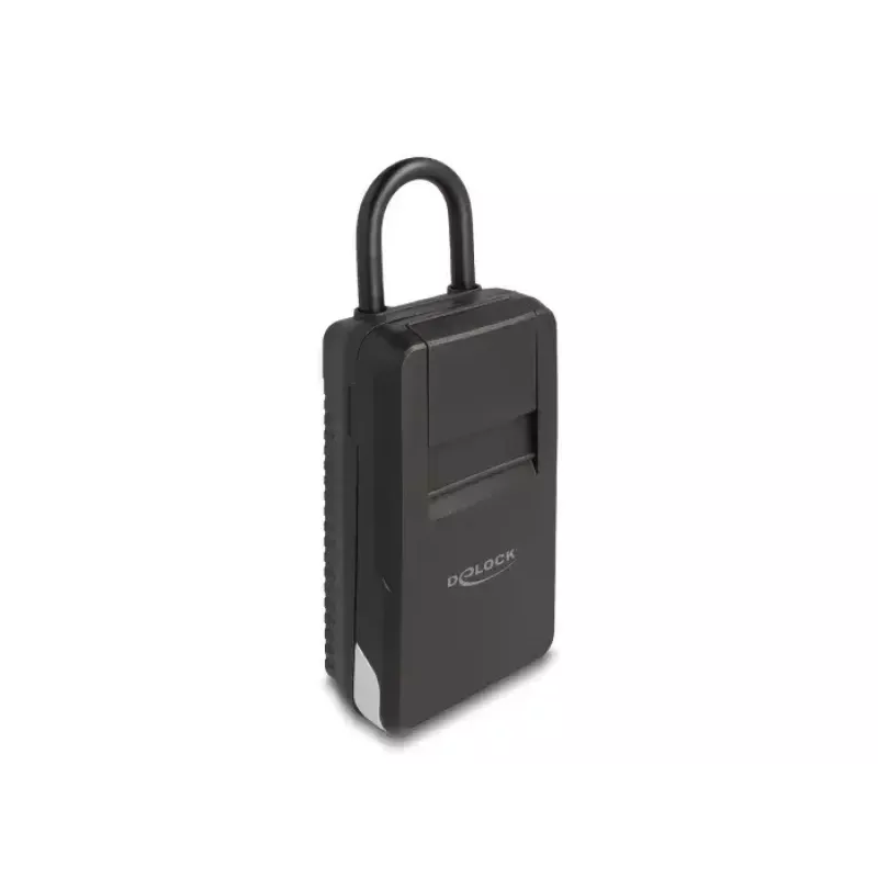Caja de llaves DeLOCK 20933