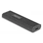 Carcasa SSD DeLOCK 42031 negra M.2 PCIe SATA 20 Gbit/s