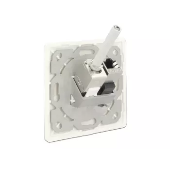 Toma de red RJ-45 DeLOCK 86219