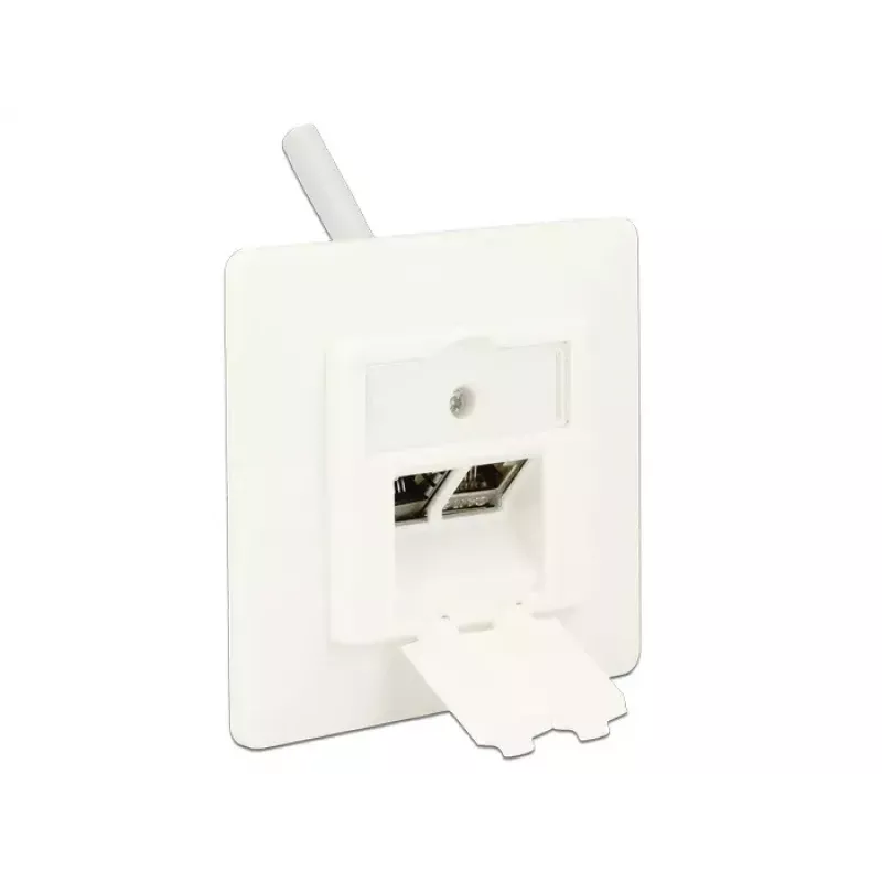 Toma de red RJ-45 DeLOCK 86219