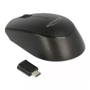 Ratón DeLOCK 12526 RF inalámbrico óptico 1000 DPI