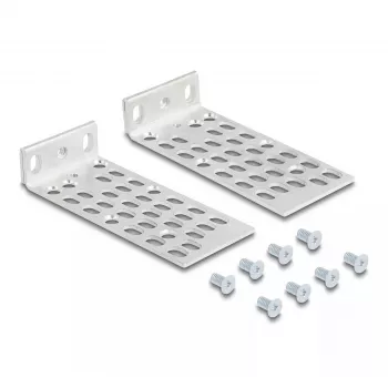 Set de montaje DeLOCK 66236 set de montaje universal para rack 2 uds. plata metal