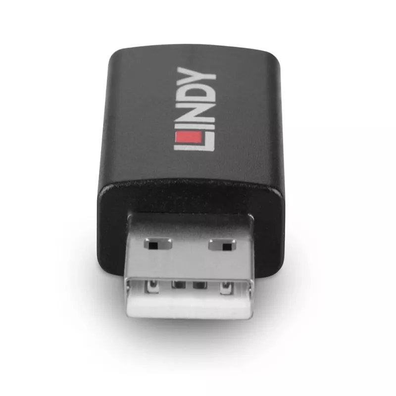 Lindy 71263 Adaptador USB USB Type-A Negro