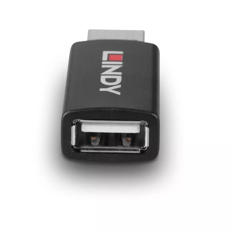 Lindy 71263 Adaptador USB USB Type-A Negro